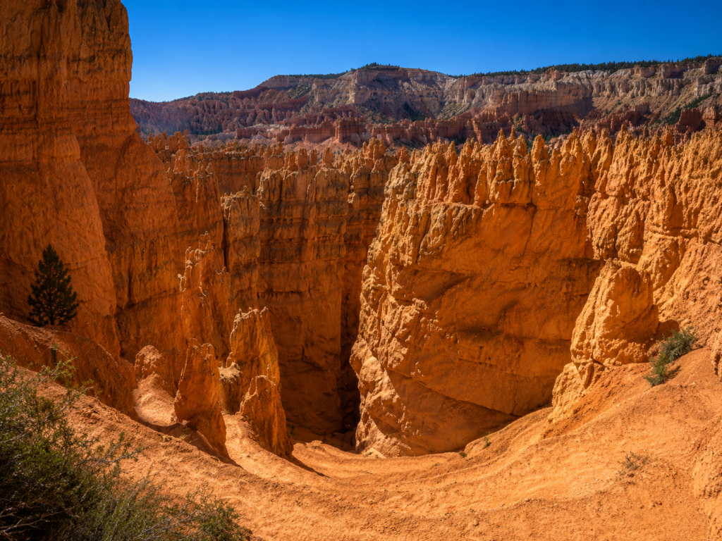 Rim Trail, Bryce Canyon National Park, Utah