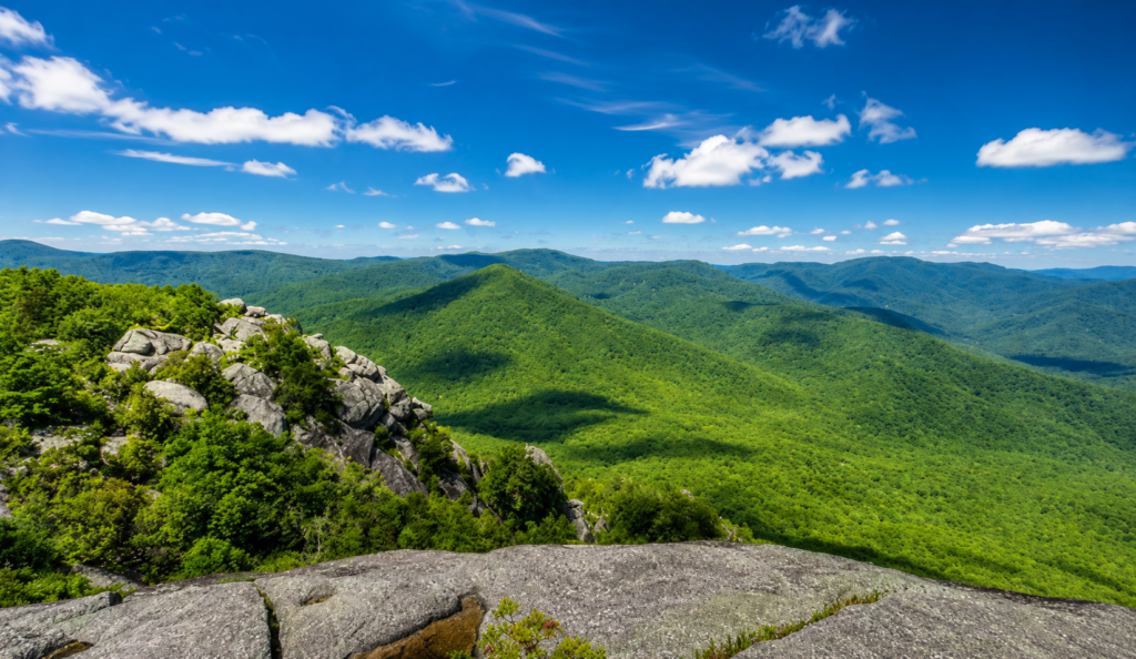 Weakley Hollow Fire Road, Shenandoah National Park, Virginia