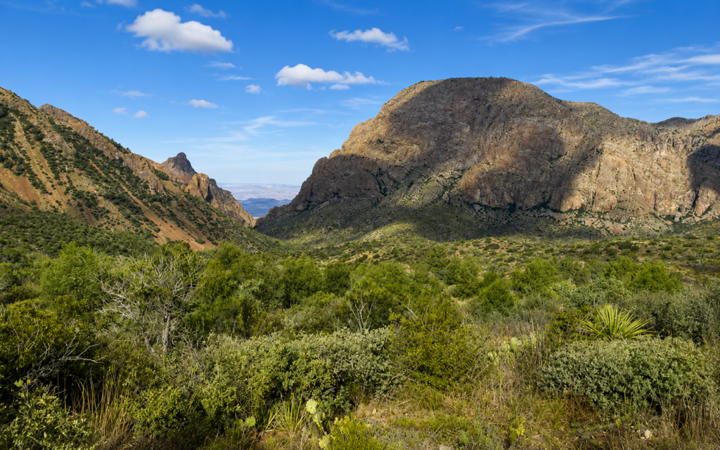 Chisos Basin Loop, Big Bend National Park, Texas