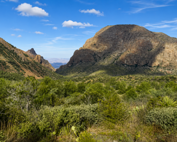Chisos Basin Loop, Big Bend National Park, Texas