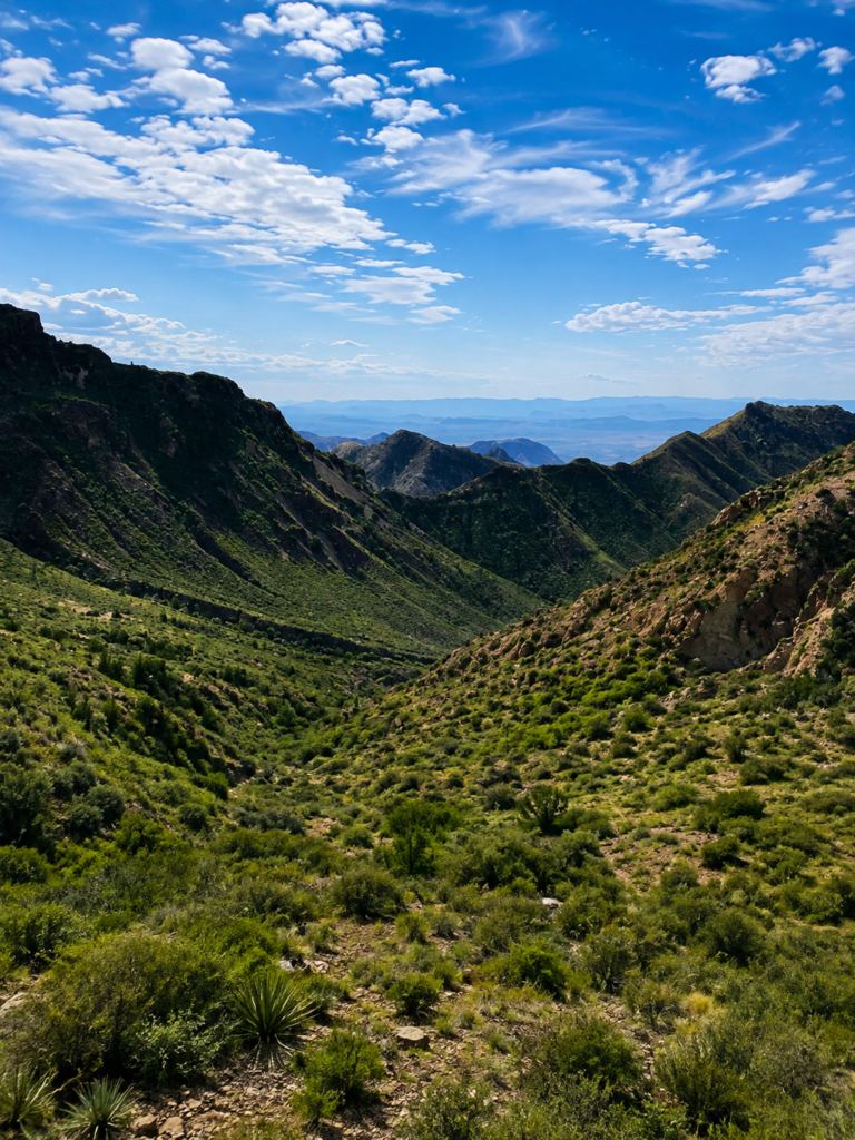 Laguna Meadows Big Bend National Park, Texas